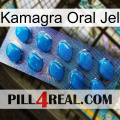 Kamagra Oral Jel viagra1